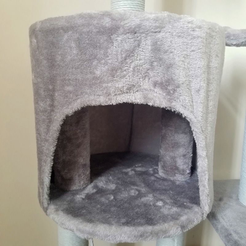 cat climbing house 11