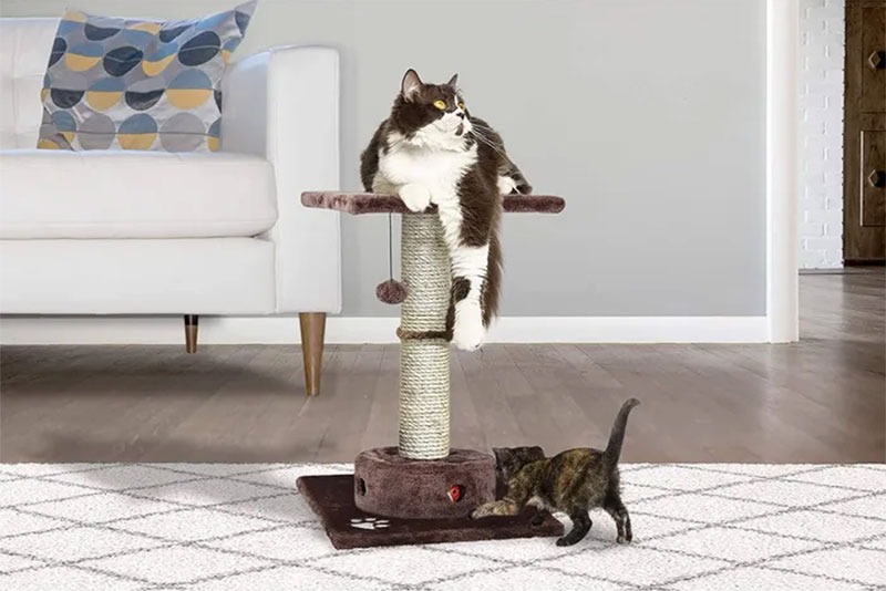 cat tree with cat iq busy box 2